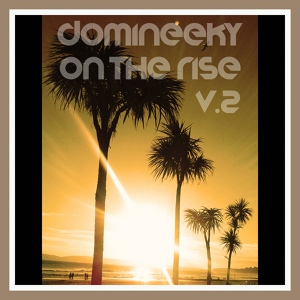 Обложка для Domineeky - Nu Summer Funk
