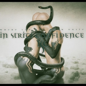 Обложка для In Strict Confidence - Emergency (Blind Faith & Envy Version)