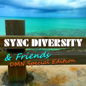 Обложка для Sync Diversity - The Bomb