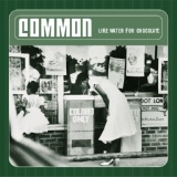 Обложка для Common - The Light