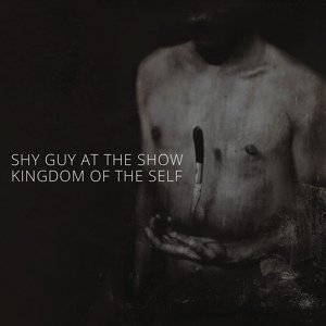 Обложка для shy guy at the show - The Wolves