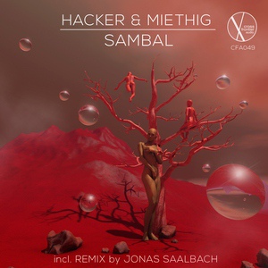 Обложка для Hacker & Miethig - Sambal