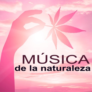 Обложка для Naturaleza - Templo de Meditación
