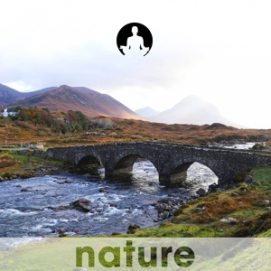 Обложка для Nature's Harmony - Tim Finnegan's Wake / Finnegan's Wake