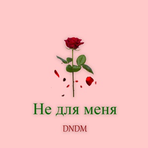 Обложка для DNDM - Не для меня