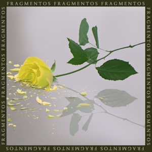 Обложка для Florentino - Fantasia