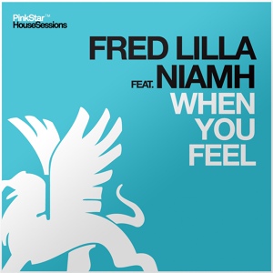 Обложка для Fred Lilla feat. Niamh - When You Feel