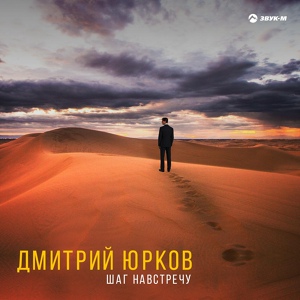 Обложка для Дмитрий Юрков - Стукачи