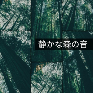 Обложка для 森の音 Star - 修道生活（深い眠）