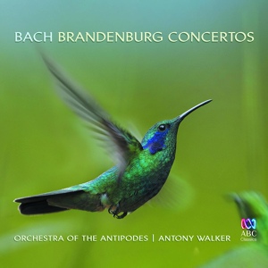 Обложка для Erin Helyard, Orchestra of the Antipodes - Brandenburg Concerto No. 6 in B flat, BWV 1051: 1. Allegro