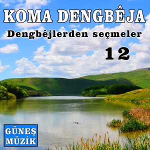 Обложка для Koma Dengbeja - Wi Delal