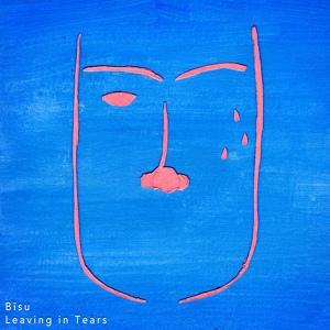 Обложка для bīsu - Supposed to Hide