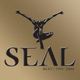 Обложка для Seal - Bring It On