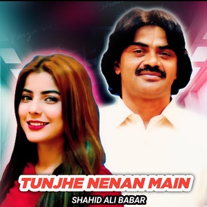 Обложка для Shahid Ali Babar - Tunjhe Nenan Main