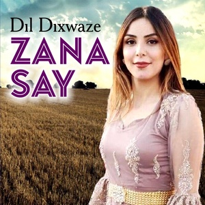Обложка для Zana Say - Tevle