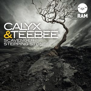 Обложка для Calyx & TeeBee, TeeBee, Calyx - Scavenger