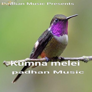 Обложка для Padhan Music - Kumna melei