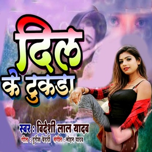 Обложка для Videshi Lal Yadav - Dil Ke Tukada