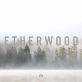 Обложка для Etherwood - Shining Over Me
