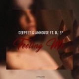 Обложка для Deepest, AMHouse, DJ SP - Feeling Me
