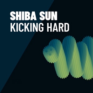 Обложка для Shiba Sun - Hard to Be