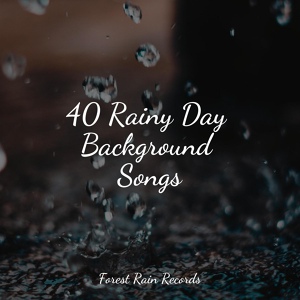Обложка для Rain Sounds Collection, Active Baby Music Workshop, Spa - Soothing Ocean Sounds
