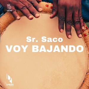 Обложка для Sr. Saco - Voy Bajando