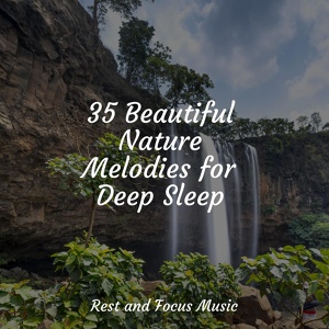 Обложка для Easy Sleep Music, Study Music, Music to Relax in Free Time - Hypnosis
