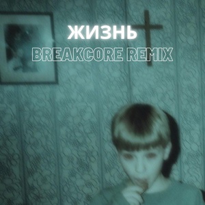 Обложка для his3kxplaya - Жизнь (Breakcore Remix)