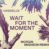 Обложка для Vandelux, BUZZ - Wait For The Moment