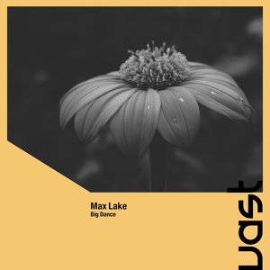 Обложка для Max Lake - Big Dance