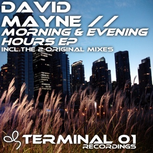 Обложка для David Mayne - Evening hours (original mix)