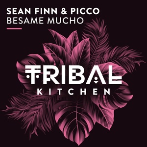 Обложка для Sean Finn, Picco - Besame Mucho