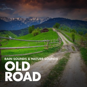 Обложка для Rain Sounds, Nature Sounds - Wild Rain & Thunder