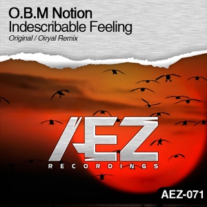 Обложка для O.B.M Notion - Indescribable Feeling