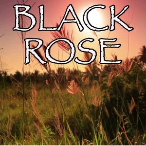 Обложка для 2017 Billboard Masters - Black Rose - Tribute to Volbeat and Danko Jones (Instrumental Version)