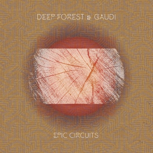 Обложка для Deep Forest, Gaudi - Interstellar