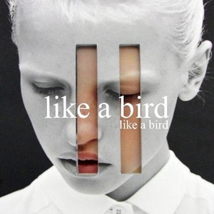 Обложка для Bez_Sna, Set - Like a Bird