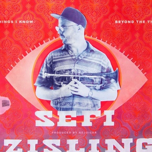 Обложка для Sefi Zisling - Endz