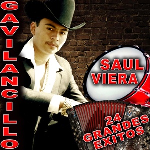 Обложка для Saul Viera El Gavilancillo - Amorcito Consentido