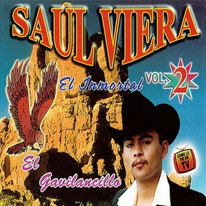 Обложка для Saul Viera El Gavilancillo - Reto a la Muerte