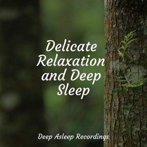 Обложка для Tinnitus, Best Relaxing SPA Music, Meditation Music Experience - Calm