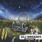 Обложка для NIVESTA - НИЧЕГО НЕ ГОВОРИ (DJ SMASH RADIO REMIX)