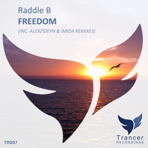 Обложка для Raddle B - Freedom Imida Remix