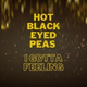 Обложка для Hot Black Eyed Peas - I Gotta Feeling