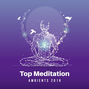 Обложка для Yoga Music, Meditation Music Masters - Yoga Therapy
