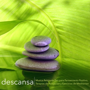 Обложка для Musica Relajante - Musica Ambiental
