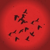 Обложка для Slavik Pogosov - Лететь как птица