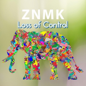 Обложка для ZNMK - Shakes Bass