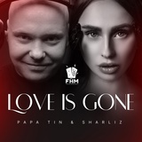 Обложка для Papa Tin feat. Sharliz - Love Is Gone